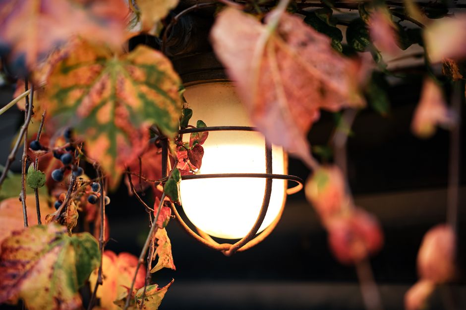 Decoratieve lantaarns verlichten herfstbladeren in achtertuin.