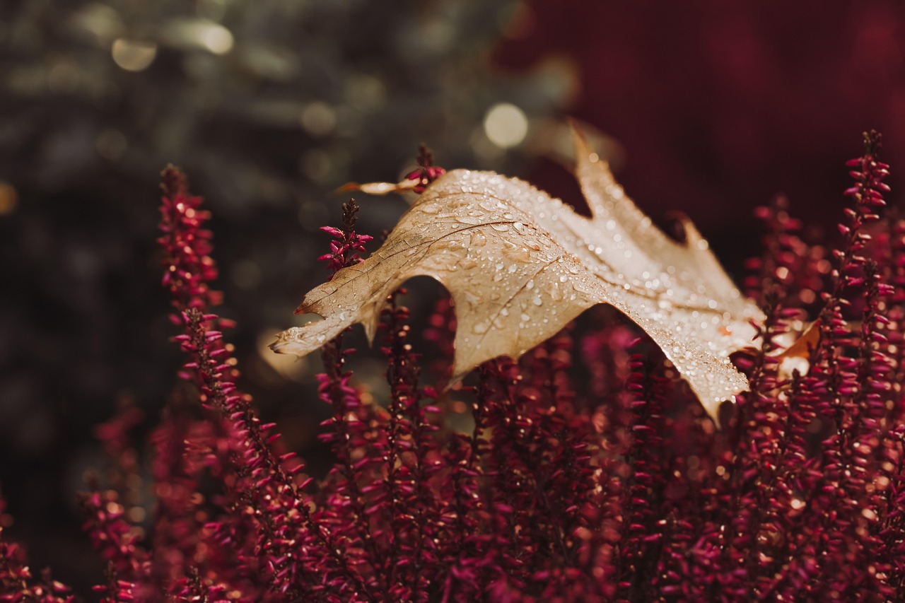 Gletsjermeren met herfstkleuren op canvas. Gletsjermeren met herfstkleuren op canvas.